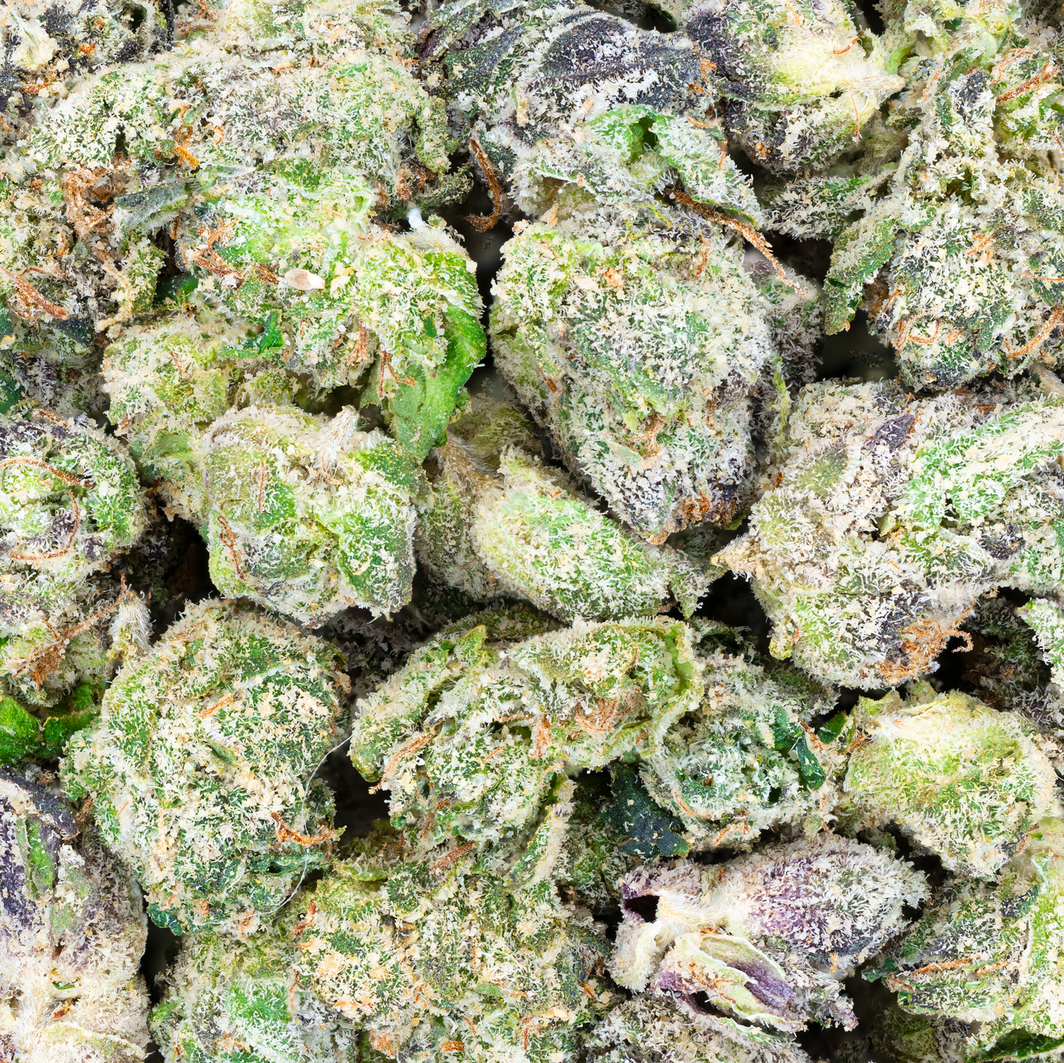 THCa Super Exotic Smalls